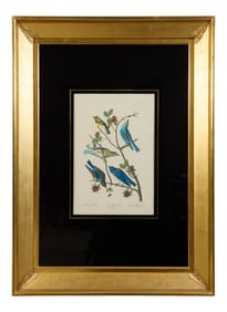 John James Audubon (American, 1785-1851), "Townsend's Warbler, Arctic Blue-bird, Western Blue-bird,"