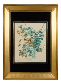 John James Audubon (American, 1785-1851), "Ruby-throated Hummingbird," from the Birds of America, no