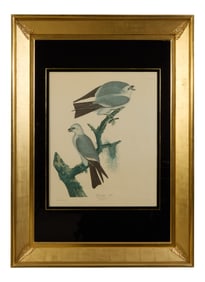 John James Audubon (American, 1785-1851), "Mississippi Kite," from the Birds of America, no. 24, pl.