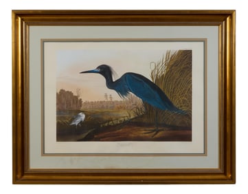 John James Audubon (American, 1785-1851), "Blue Crane or Heron," from the Birds of America, no. 62,