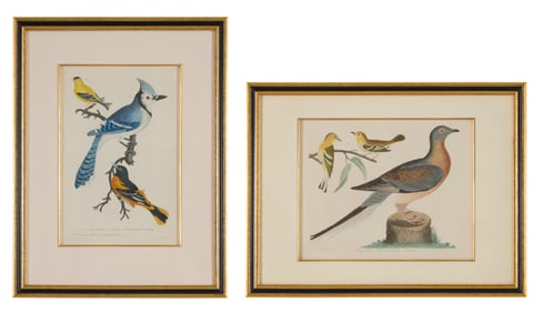 Alexander Wilson (Scottish, 1766-1813), "Blue Jay, Yellow Bird or Goldfinch, Baltimore Bird," pl. 1