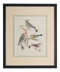 Alexander Wilson (Scottish, 1766-1813), "Cedar Bird, Red-bellied Woodpecker, Yellow-throated