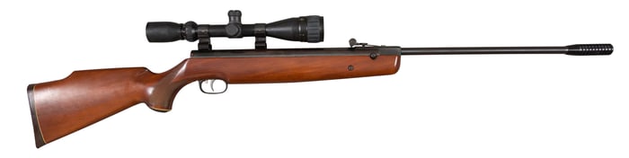 Beeman Model R1 Precision Air Rifle, Germany, Barrel- L.- 20 in., Overall- L.- 46 1/2 in.,