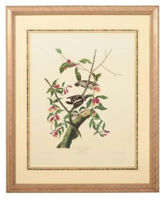 John James Audubon (American, 1785-1851), "Downy Woodpecker," from the Birds of America, no. 23, pl.