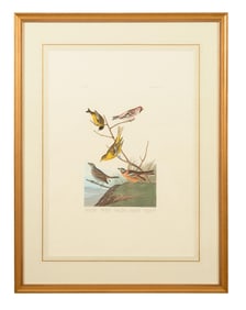 John James Audubon (American, 1781-1851), "Arkansaw Siskin," "Mealy Red-poll," "Louisiana Tanger,"