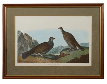 John James Audubon (American, 1781-1851), "Long-tailed or Duskey Grouse," from the Birds of America,