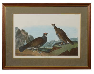 John James Audubon (American, 1781-1851), "Long-tailed or Duskey Grouse," from the Birds of America,: John James Audubon (American, 1781-1851), "Long-tailed or Duskey Grouse," from the Birds of America, no. 73, pl. CCCLXI, 1971-1973, color lithograph on paper with "G Schut and Zonen" watermark, Amster