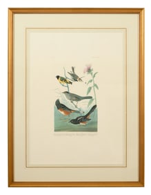 John James Audubon (American, 1781-1851), "Chestnut-coloured Finch," "Black-headed Siskin,"