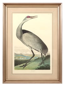 John James Audubon (American, 1781-1851), "Hooping Crane," from the Birds of America, no. 53, pl.