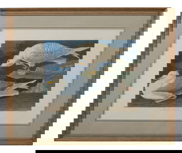 John James Audubon (American, 1781-1851), "White-winged Silvery Gull," from the Birds of America,: John James Audubon (American, 1781-1851), "White-winged Silvery Gull," from the Birds of America, no. 57, pl. CCLXXXII, 1971-1973, color lithograph on paper with "G Schut and Zonen" watermark, Amsterd