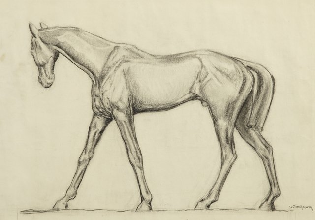 William Tom Young (1924-), "Portrait of a Thoroughbred,: William Tom Young (1924-), "Portrait of a Thoroughbred, ," 20th c., charcoal, signed l.r., framed, H.- 14 in., W.- 20 1/4 in.