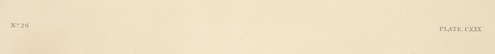 item-208909208=3