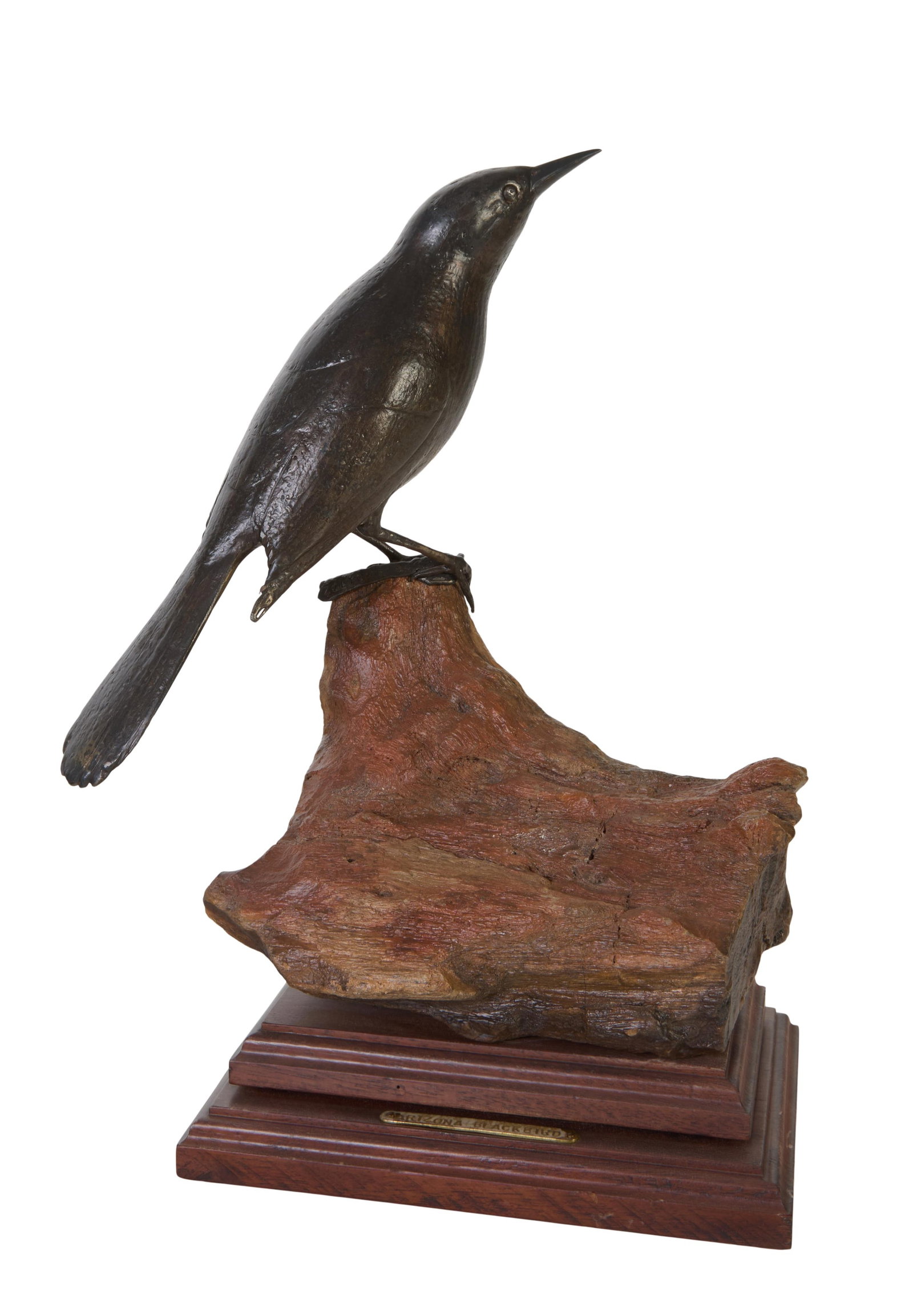 Edward Zolyome (American/New York, 1928-2020), "Arizona Blackbird," 1984, Bird- H.- 7 in., W.- 5: Edward Zolyome (American/New York, 1928-2020), "Arizona Blackbird," 1984, patinated bronze, presented on a driftwood base, atop a stepped mahogany plinth, with a brass name plate, signed and dated, Bi