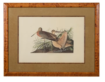 John James Audubon (American, 1781-1851), "Great Marbled Godwit," from the Birds of America, no. 48,