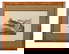 item-208909339=1
