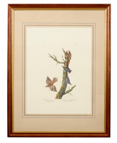 John James Audubon (American, 1781-1851), "Brown Creeper," and "Californian Nuthatch," from the