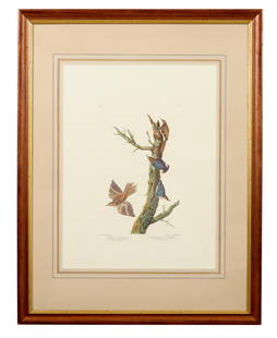 John James Audubon (American, 1781-1851), "Brown Creeper," and "Californian Nuthatch," from the: John James Audubon (American, 1781-1851), "Brown Creeper," and "Californian Nuthatch," from the Birds of America, no. 83, pl. CCCCXV, 1971-1973, Brown Creeper & California color lithograph on paper wi