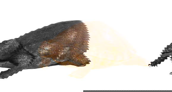Taxidermized Box Turtle, 20th c., H.- 4 1/2 in., W.- 11 1/2 in., D.- 7 in.: Taxidermized Box Turtle, 20th c., H.- 4 1/2 in., W.- 11 1/2 in., D.- 7 in.