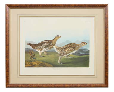 John James Audubon (American, 1781-1851), " Sharp-tailed Grouse," from the Birds of America, no. 77,: John James Audubon (American, 1781-1851), " Sharp-tailed Grouse," from the Birds of America, no. 77, pl. CCCCLXXXII, 1971-1973, color lithograph on paper with "G Schut and Zonen" watermark, Amsterdam