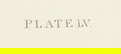 item-209539923=4