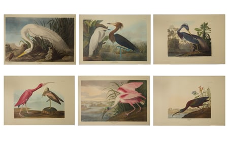 After John James Audubon (American, 1785-1851), Group of Six Color Plates from The Birds of America: