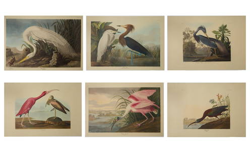 After John James Audubon (American, 1785-1851), Group of Six Color Plates from The Birds of America:: After John James Audubon (American, 1785-1851), Group of Six Color Plates from The Birds of America: A Selection of Landscape Plates, 1972-1973, including "Scarlet Ibis", no. 80, pl. 397, "Purple Hero