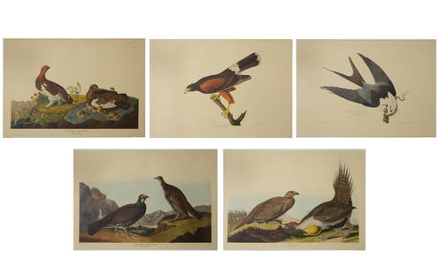 After John James Audubon (American, 1785-1851), Group of Five Color Plates from The Birds of: After John James Audubon (American, 1785-1851), Group of Five Color Plates from The Birds of America: A Selection of Landscape Plates, 1972-1973, including "Willow Grouse or Large Ptarmigan", no. 39,