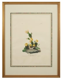 John James Audubon (American, 1781-1851), "Grass Finch or Bay-Winged Bunting," from the Birds of