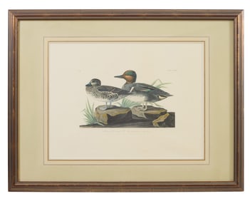 John James Audubon (American, 1781-1851), "American Green-winged Teal," from the Birds of America,