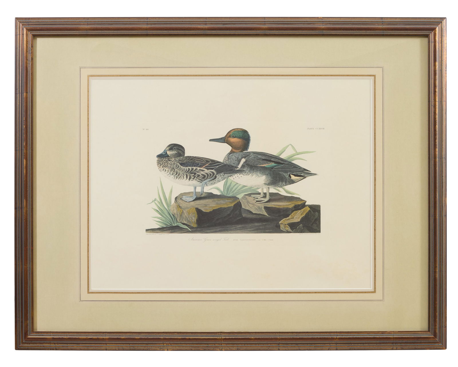 John James Audubon (American, 1781-1851), "American Green-winged Teal," from the Birds of America, (1 of 8)