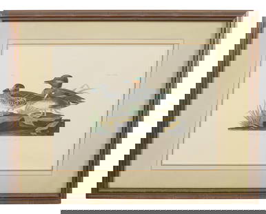 John James Audubon (American, 1781-1851), "American Green-winged Teal," from the Birds of America,: John James Audubon (American, 1781-1851), "American Green-winged Teal," from the Birds of America, no. 46, pl. CCXXVIII, 1971-1973, color lithograph on paper with "G Schut and Zonen" watermark, Amster