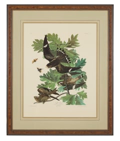 John James Audubon (American, 1781-1851), " Night Hawk," from the Birds of America, no. 30, pl.