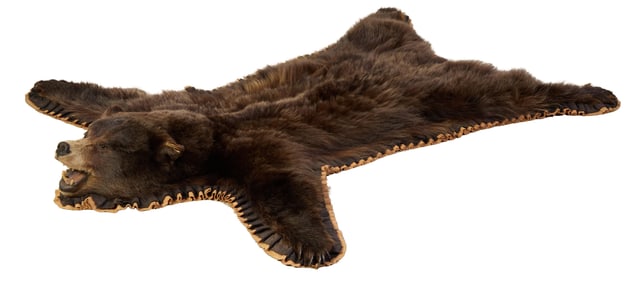 Taxidermied Black Bear Rug, 20th c., H.- 79 in., W.- 60 in., D.- 9 in.