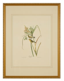John James Audubon (American, 1781-1851), "Prairie Warbler," from the Birds of America, no. 3, pl.