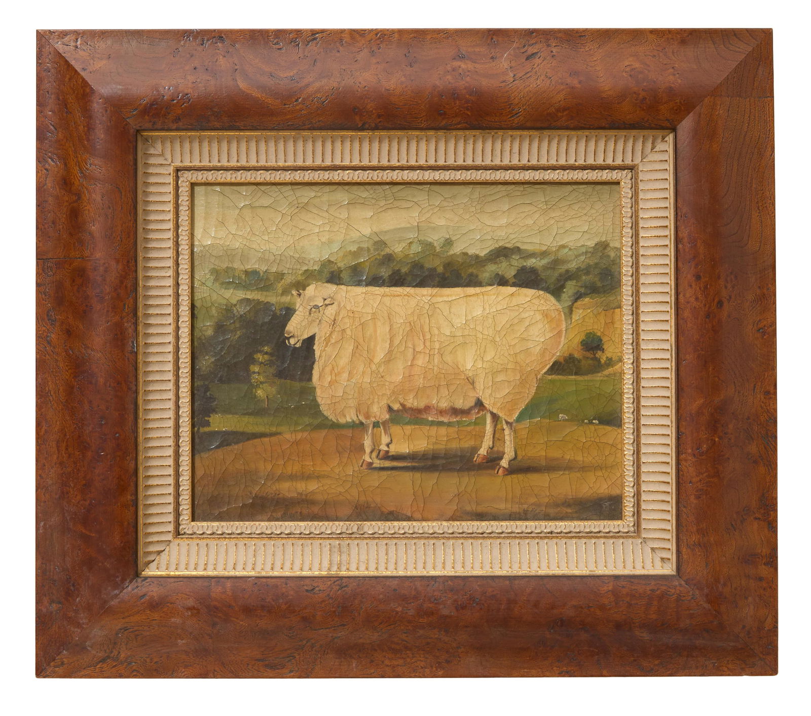 British School (19th Century), "Portrait of a Prize Sheep," Sight- H.- 7 3/8 in., W.- 9 1/4 in.,: British School (19th Century), "Portrait of a Prize Sheep," oil on canvas, unsigned, frame stamped en verso "Kate Wong, Houston, TX," professionally framed, presented in a burl-wood frame with gilt li