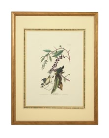John James Audubon (American, 1781-1851), "Worm-eating Warbler," from the Birds of America, no. l7,