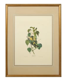 John James Audubon (American, 1781-1851), " Hemlock Warbler," from the Birds of America, no. 27, pl.