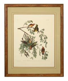 John James Audubon (American, 1781-1851), "American Crossbill," from the Birds of America, no. 40,