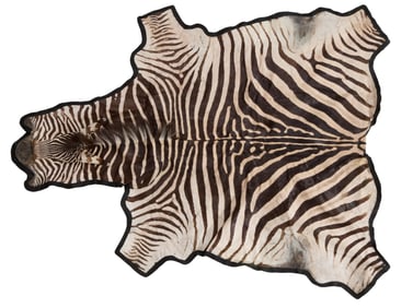 Full Zebra Hide Rug, 20th c., 8' x 5' 7.