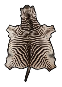 Full Zebra Hide Rug, 20th c., 8' x 5' 7.