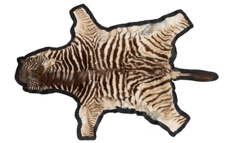 Full Baby Zebra Hide Rug, 20th c., 5' 1 x 3' 4.