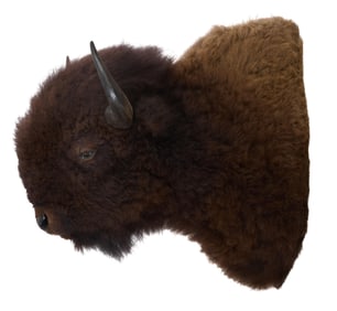 Bison Taxidermy Shoulder Mount, 20th c., H.- 42 in., W.- 32 in., D.- 44 in.