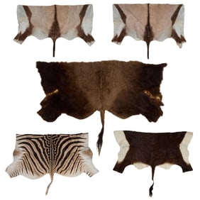Five Assorted Fur Partial Hides, 20th c., Largest (Buffalo)- H.- 60 in., W.- 94 in.