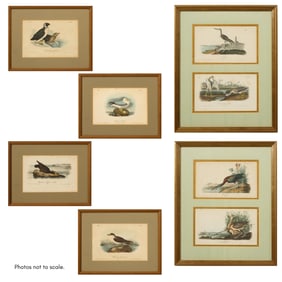 John James Audubon (American, 1785- 1851), Eight Prints from "The Birds of America", Octavo edition,