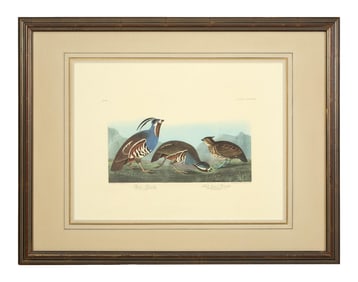 John James Audubon (American, 1781-1851), "Plumed Partridge and Thick-legged Partridge," from the