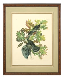 John James Audubon (American, 1781-1851), "Canada Jay," from the Birds of America, no. 22, pl. CVII,