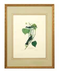 John James Audubon (American, 1781-1851), "Tyrant Fly-catcher," from the Birds of America, no. 46,