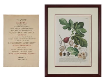 Christoph Jakob Trew (German, 1695-1769) and Georg Dionysius Ehret (German, 1708-1770), "Cover Page