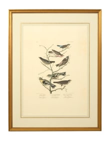 John James Audubon (American, 1781-1851), "Crimson-necked Bull Finch & Other Birds," from the Birds