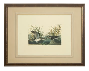 John James Audubon (American, 1781-1851), "Solitary Sandpiper," from the Birds of America, no. 38,